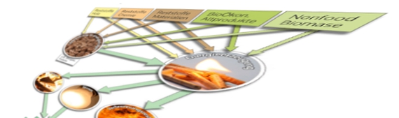 bioeconomy